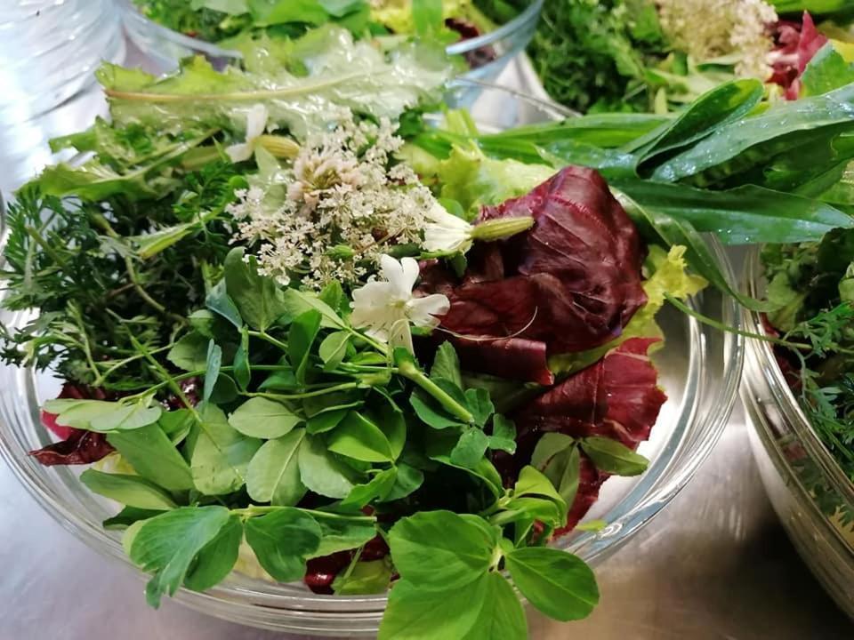 Agriturismo Con Cucina Tipica Nuova Scardua Cavriana Екстериор снимка