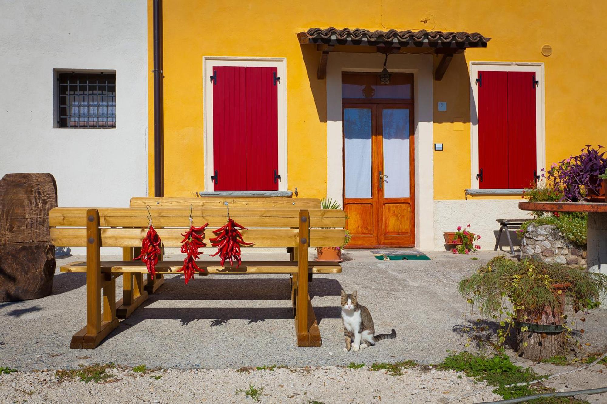Agriturismo Con Cucina Tipica Nuova Scardua Cavriana Екстериор снимка