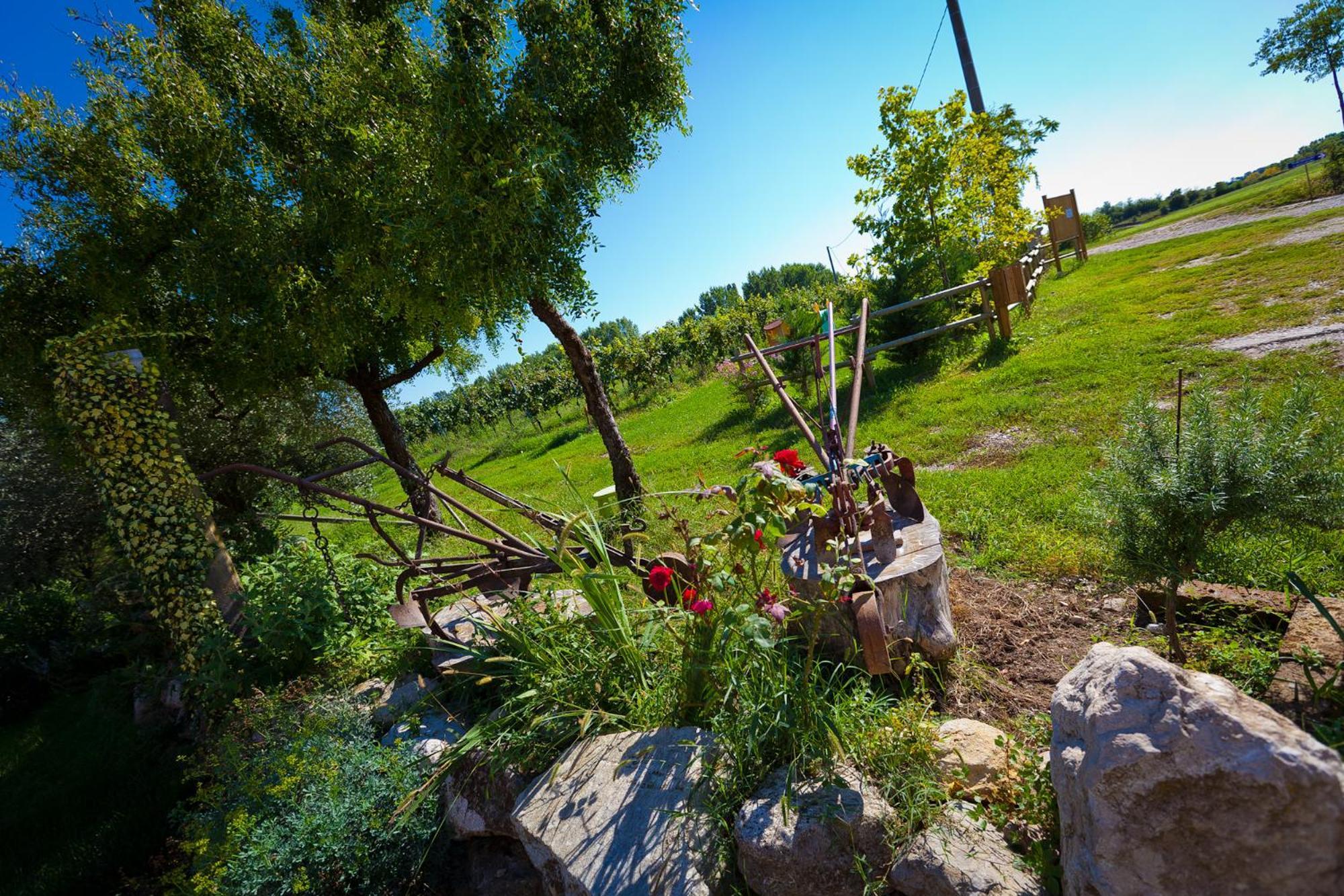 Agriturismo Con Cucina Tipica Nuova Scardua Cavriana Екстериор снимка
